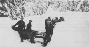 Det var ikke så greitt å holde den gamle Kubjørgvegen åpen om vinteren. Her foregår plogkjøring med fire hester i 1945. Kjørerne er Lars Græsli, Olav Ås og Jon P. Græsli.