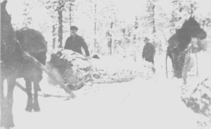 I 1932 —33 kjørte Johan Hilmo og Per Jonsen Hilmo tømmer for Thomas Angells stiftelser i skogene deres på Hilmo. Her har de fått med bare en stokk på lasset.