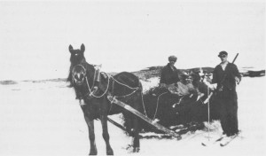 Bjørkeris var et vanlig attåtfor til husdyra i Tydal og ble brukt til langt ut i dette århundret. Her kjører Peder Berggård og en annen kar heim bjørkeris fra Langfallsjøen en gang i mellomkrigstida.