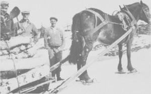 Setervedkjøring ved Svartåavollen i begynnelsen av 1940-tallet. Fra venstre Gunnar Berggård, Ingebrigt Berggård og Ola Søliås. Hesten må ha truger på vinterføret.