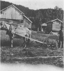 Hesteslåmaskina var ei av de største tekniske nyvinningene i jordbruket omkring 1900. I 1907 var det 49 slåmaskiner i Tydal. På bildet er det Petter Korsvoll som slår graset på Greslivoll på 1920- tallet.