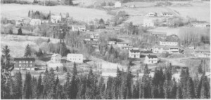    Rønningsgjerdet, det første kommunale boligfeltet, slik det så ut i 1991. 
