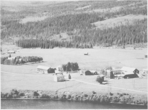  Den gamle Storaunstuggu ses midt på bildet. Til venstre for den ligger Olagarden, til høyre Bort- stuggu. (1963)