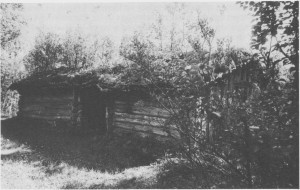 Arnebua på Arnevollen ved vestenden av Stugusjøen er en av de eldste bevarte seterbuene i Tydal. I bua fins innskåret årstallet 1739. Bua hadde jordgolv med steinheller rundt åren. Det var ingen vinduer, men små glugger med skyveluke. Rundt veggene var det faste sengebenker og sitte- eller arbeidsbenker. Bua har dør inn fra det åpne «sjølet» mellom oppholdsrom og småfefjøs. Bildet er tatt i 1983.