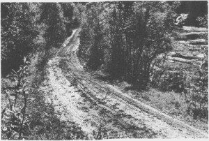  Gammelvegen fra Kirkvoll og oppover mot Løvøya gikk delvis langs Tya. Her er et stykke av vegen ved Småfossan. I dag er det mest traktorer som bruker vegen. 