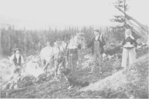 Nybrottsarbeid på Gjerdesenget i Gres li i 1921. Fra venstre Ingebrigt Bjørgen, Anna Græsli, hennes datter Antonie, Albert Græsli og bestemor Ingeborg Græsli.