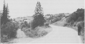  Vegstellet tok en stor del av kommunens inntekter, særlig det første tiåret etter 1945. Så ble det også en standardforskjell mellom gamlevegen (til venstre) og nyvegen (til høgre). Bildet er tatt ved Nebrua mot Ås sentrum.